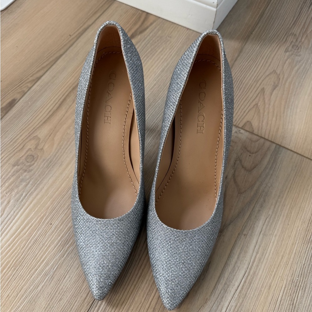 Coach Silver Sparkle Pointed Toe Pumps